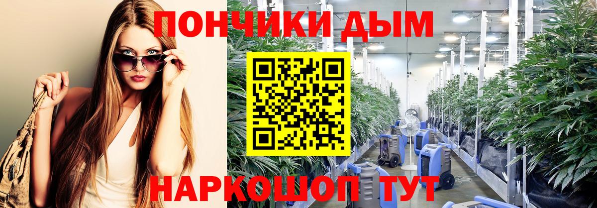 Канабис планчик  Вход с VPN  МАРИХУАНА VHQ  МАРИХУАНА OG Kush  Канабис сатива  Мурино 